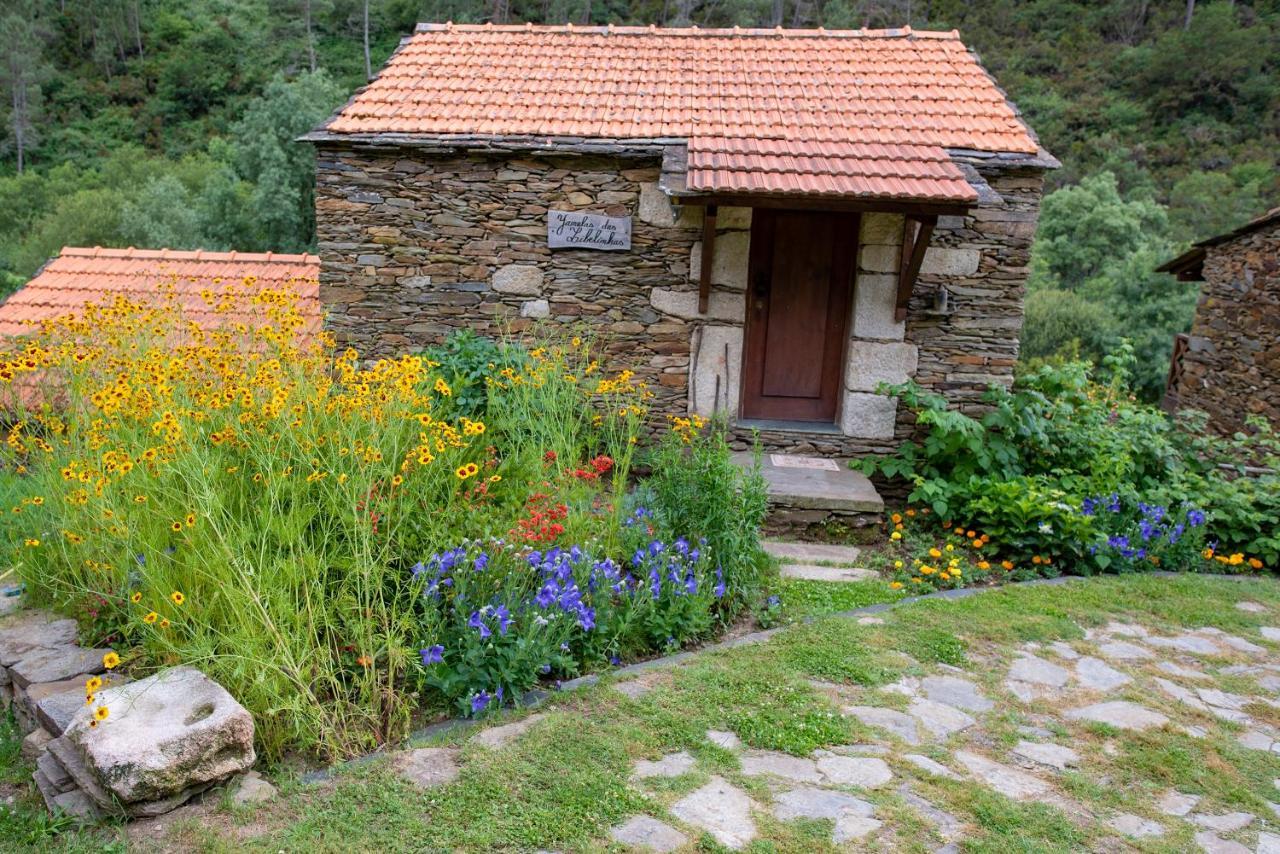 Quinta Da Rabacosa - Turismo Rural Castro Daire Exterior foto